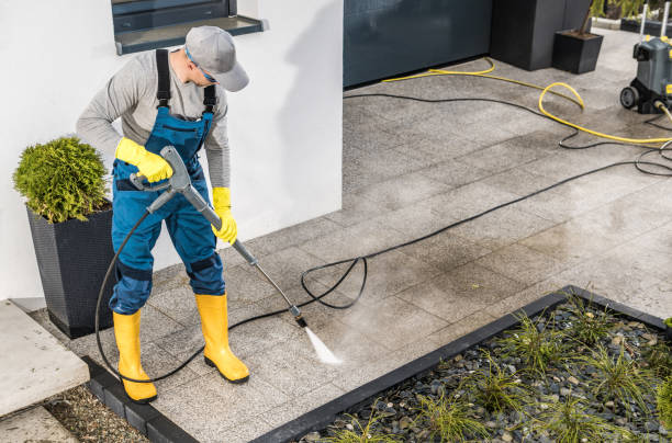 Best Roof Pressure Washing  in Frankford, DE